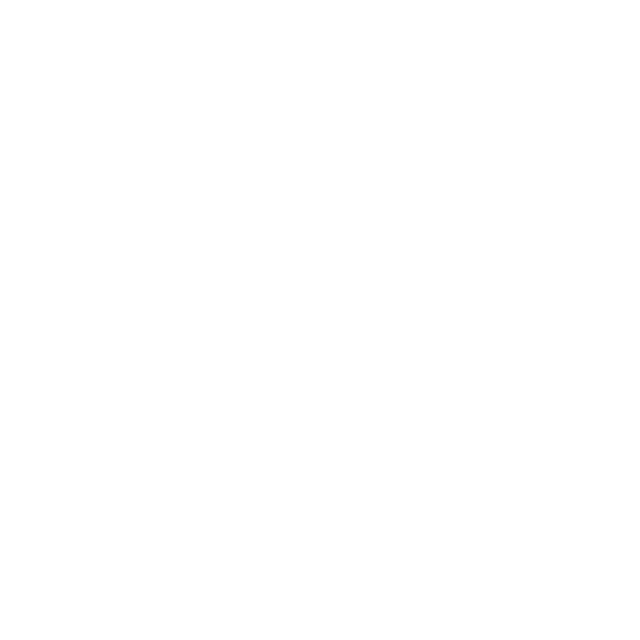white phone icon
